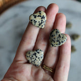 Tiny Dalmatian Jasper Heart