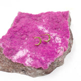 Crescent Stud Earrings