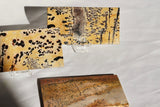 Picture Jasper Slab