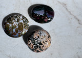 AAA Ocean Jasper / Orbicular Palms