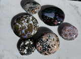 AAA Ocean Jasper / Orbicular Palms