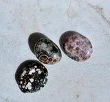 AAA Ocean Jasper / Orbicular Palms
