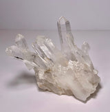 Lemurian Quartz Cluster - SC48