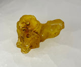 Copal | Fossilized Tree Resin