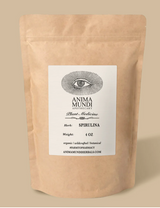 Organic Spirulina | Energy, Focus & Anti-Inflammation