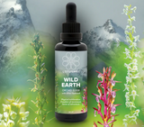 Wild Earth Orchid Elixir