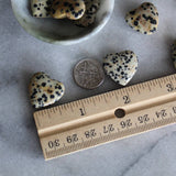 Tiny Dalmatian Jasper Heart