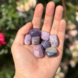 Polished Lepidolite - Tumbled Stone